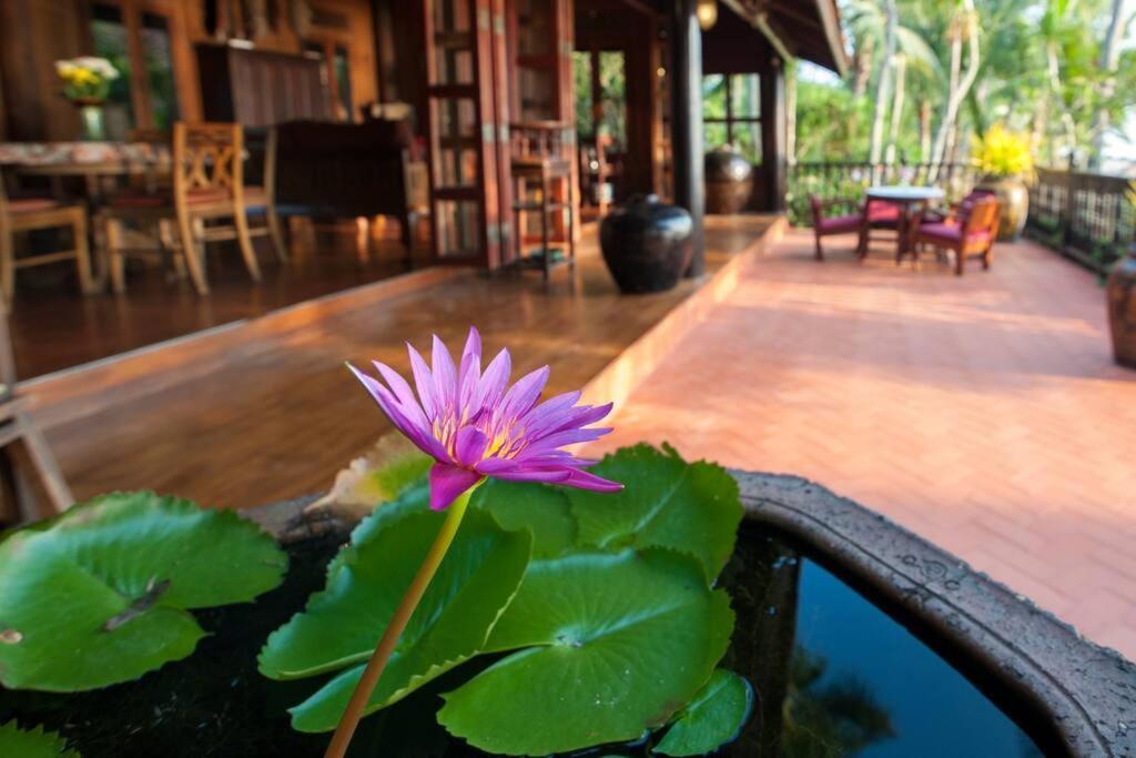 Five Islands Beach House Samui Amphoe Koksamui Eksteriør bilde